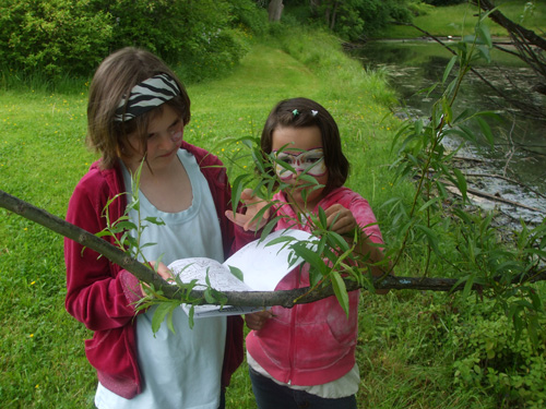 junior nature guide